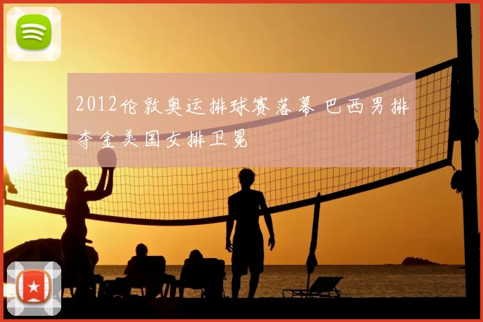 2012伦敦奥运排球赛落幕 巴西男排夺金美国女排卫冕