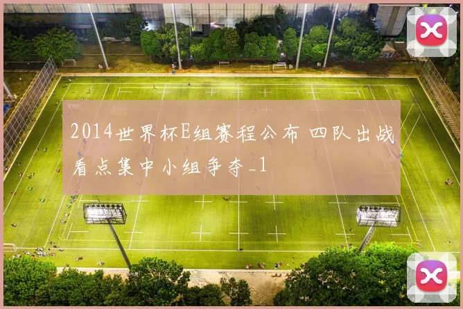 2014世界杯E组赛程公布 四队出战看点集中小组争夺_1