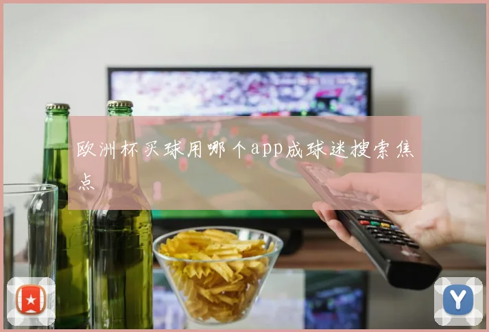 欧洲杯买球用哪个app成球迷搜索焦点