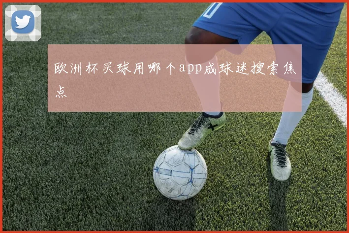 欧洲杯买球用哪个app成球迷搜索焦点