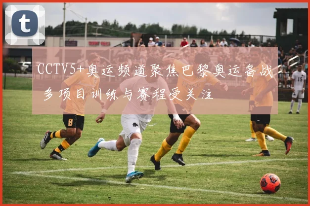 CCTV5+奥运频道聚焦巴黎奥运备战 多项目训练与赛程受关注